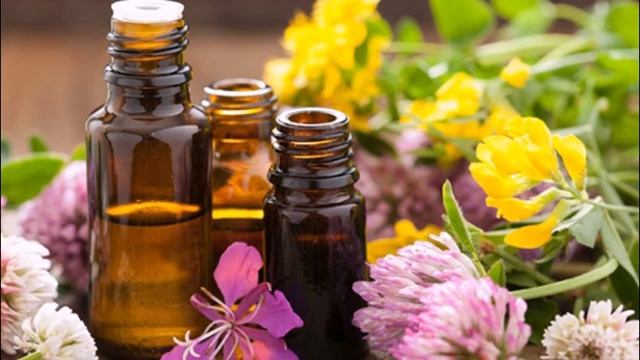 Как защититься от клещей на природе смотреть онлайн