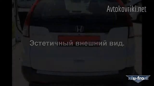 Honda любовь