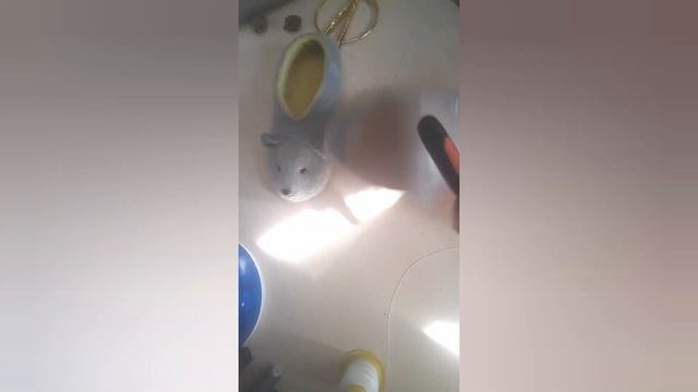 МК. Изменяем форму валянных тапочек и подшиваем кожанную подошву. #детские#тапочки#подшиваемтапки# смотреть онлайн
