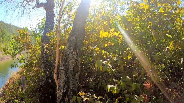 Моя самая большая рыба! Как обьяснить фингал на рыбалке? смотреть онлайн