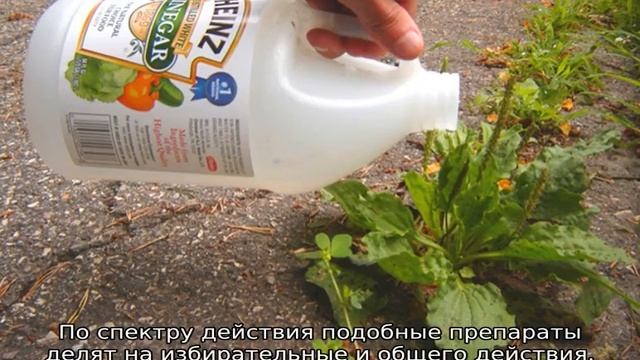 Уборка в стиле комфорт