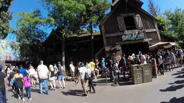 California Disneyland Trees my tree nerd mode Sequoia sempervirens & Gleditsia triacanthos смотреть онлайн
