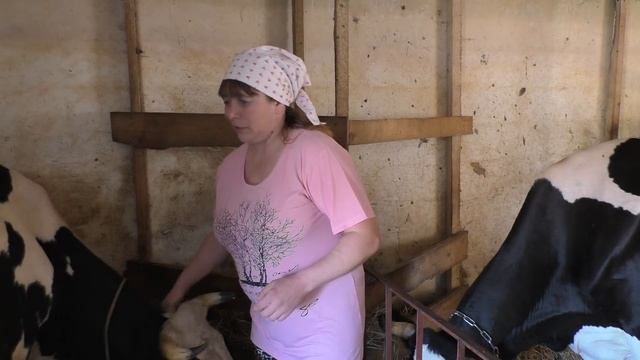 Знакомство с нами//Я люблю свою деревню// смотреть онлайн