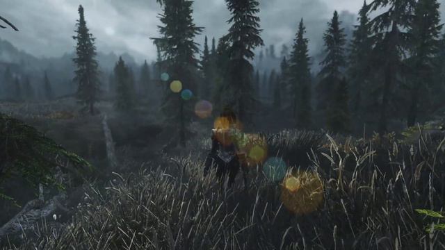 Skyrim (modded PC) смотреть онлайн