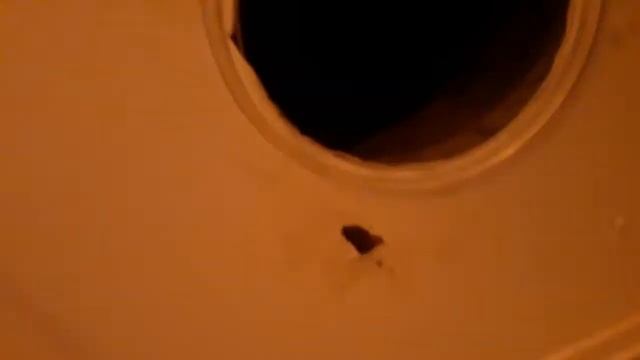 КАПАЕТ С ПОТОЛКА В ДОМЕ! ИЩЕМ ПРИЧИНУ! смотреть онлайн