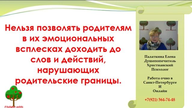 Вебинар "Как объяснить родителям, что ты уже взрослый человек". Душепопечитель Елена Палаткина смотреть онлайн