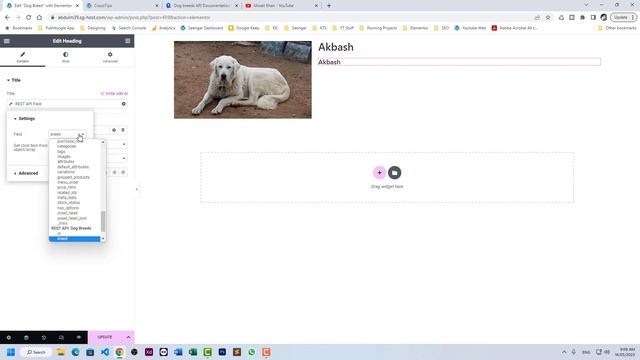 3rd Party REST API Integration | JetEngine | Elementor | Rapid API