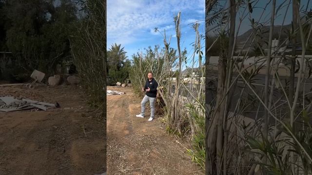 Oleanders are no fun. #construction #luxuryhomes #realestate #shorts #oleander смотреть онлайн