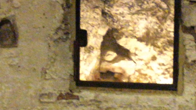 Израиль. Экскурсия по древнему Иерусалиму 16. Новости Жирновска - форум ЖИРАФ смотреть онлайн