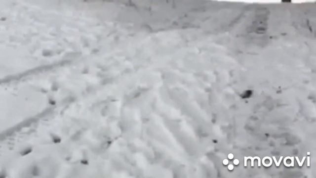 Linhai Yamaha M200 тест драйв