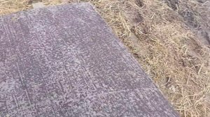 Боремся с Клещем (ВАРРОА)**Сироп для пчел Едрен Компот ,