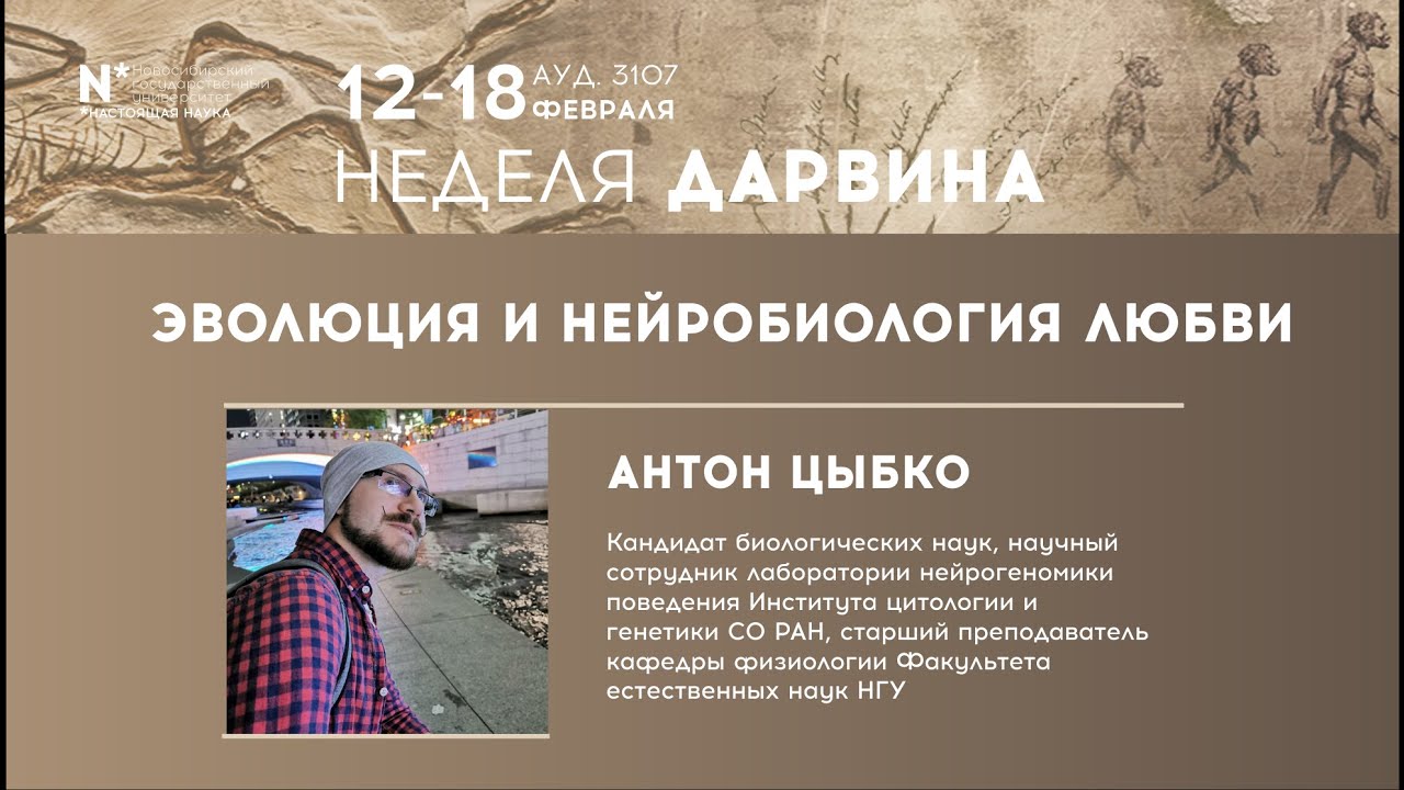 Эволюция и нейробиология любви. Лекция кандидата биологических наук Антона Цыбко