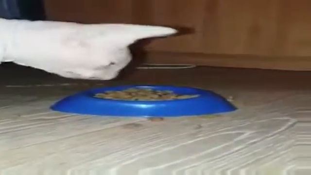 Вот это рот 😮 смотреть онлайн