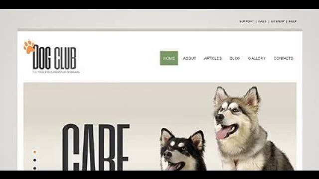 Preview White _ Grey Dog Joomla Template by Cowboy TMT смотреть онлайн