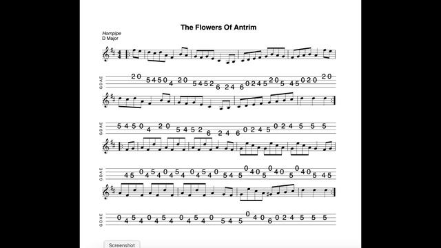 The Flowers Of Antrim - a hornpipe in D Major tabbed for mandolin and played by Aidan Crossey смотреть онлайн