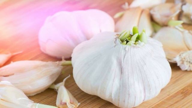 НИКОГДА не выбрасывайте проросший ЧЕСНОК вот почему! смотреть онлайн