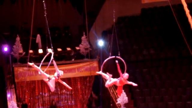 Эстрадно-цирковая студия "Эдельвейс" смотреть онлайн