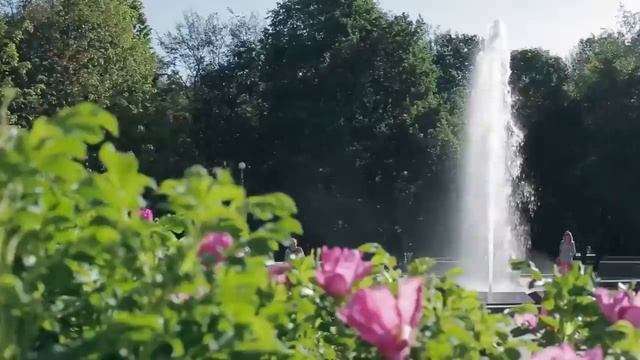 Курорт "Старая Русса" в 100 километрах от Великого Новгорода смотреть онлайн