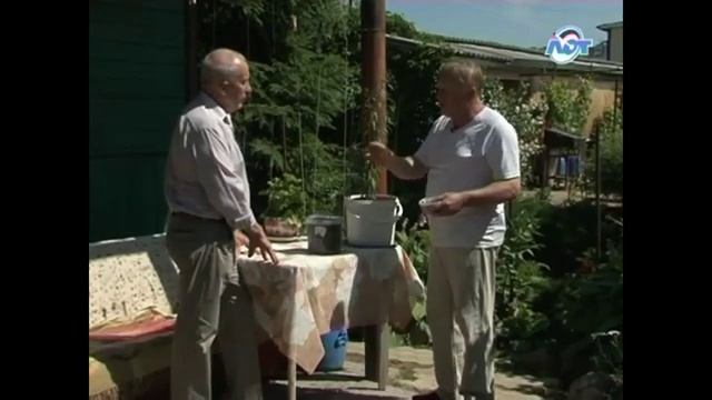 ЛОТ 2014 - Владимир Сильнов о винограде в Ленинградской области смотреть онлайн