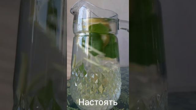 Полезный для здоровья чай с мятой и имбирем