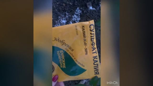 Пробую электро распылитель Умница! Осенние подкормки! смотреть онлайн