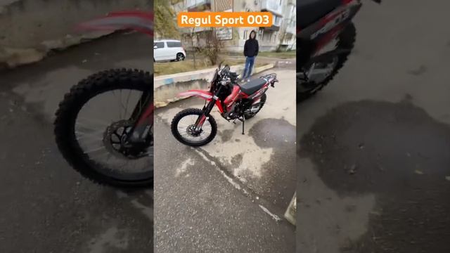 Прогулочный мотоцикл Regulmoto Sport 003 PR! 41я вилка и 172мотор, балансир и бигбор. #motomaniac смотреть онлайн