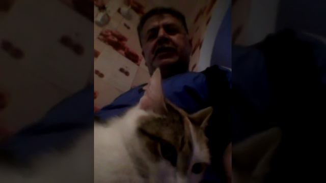 Кто говорил, что кошки не верны хозяину? ?? смотреть онлайн