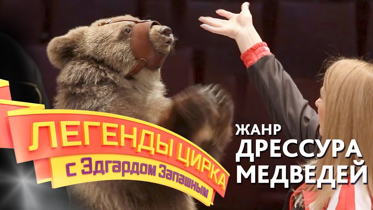 Легенды цирка с Эдгардом Запашным — Жанр – дрессура медведей смотреть онлайн