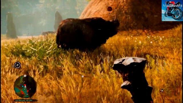 Медведь против носорога (БОЛЬШОЙ ШРАМ) Far Cry Primal & Fighting bear and rhinoceros (BIG SCRAP) смотреть онлайн