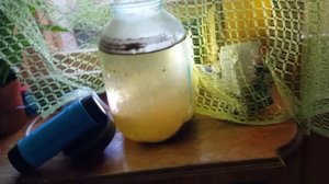 Гуппи родила в общем аквариуме. Кормление мальков артемией.