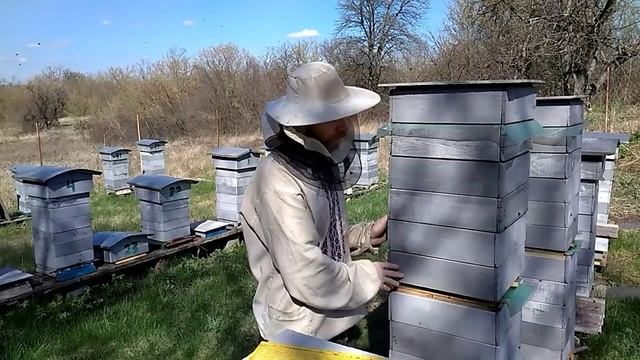 Двухматочное содержание в Альпийском улье. Одно из преимуществ Майский Мёд смотреть онлайн