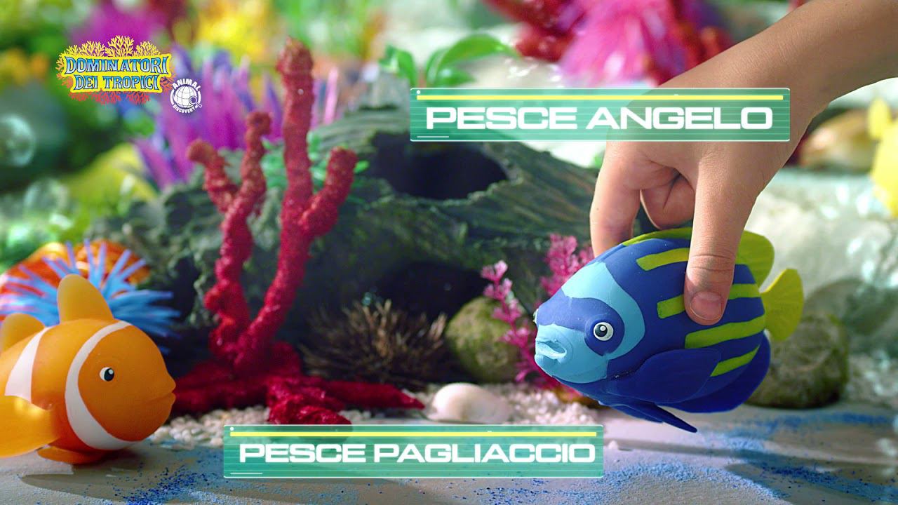 ПОВЕЛИТЕЛИ ТРОПИКОВ РОЛИК смотреть онлайн