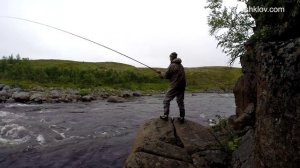 Рыбалка нахлыстом на Реках Рында и Золотая. Кольский полуостров.