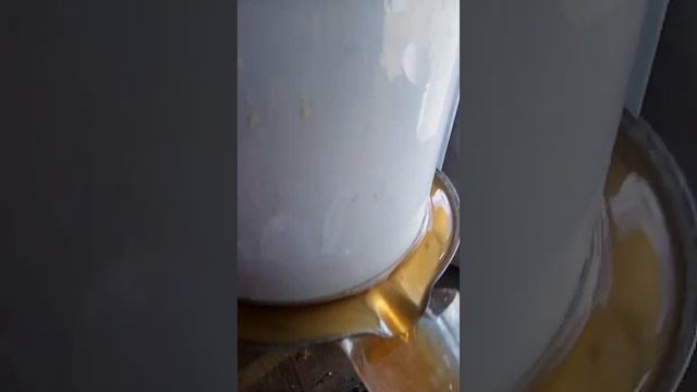 Реклама; ДЕЛАЕМ ЯБЛОЧНЫЙ СОК ! Наславча 24 сентября 2021 г. смотреть онлайн