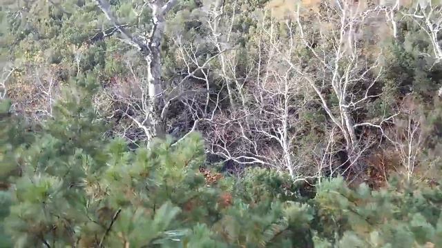 Исхолодыч смотреть онлайн