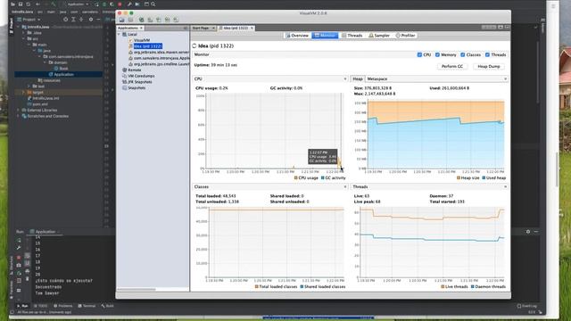 VisualVM - Monitorizar una aplicación смотреть онлайн