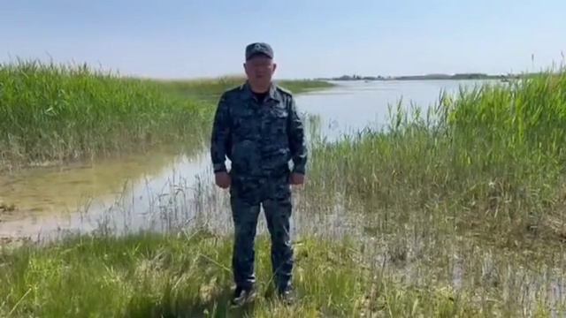 Сезон открылся у кого-то, 😁😁😁 а где-то ещё нерест 👍 смотреть онлайн