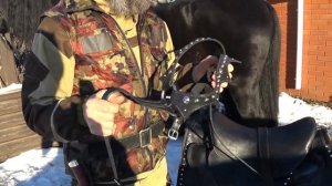 Кавалерийское седло.