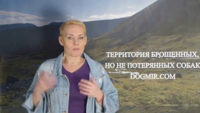 #9 Как правильно встретить дома собаку из приюта? смотреть онлайн