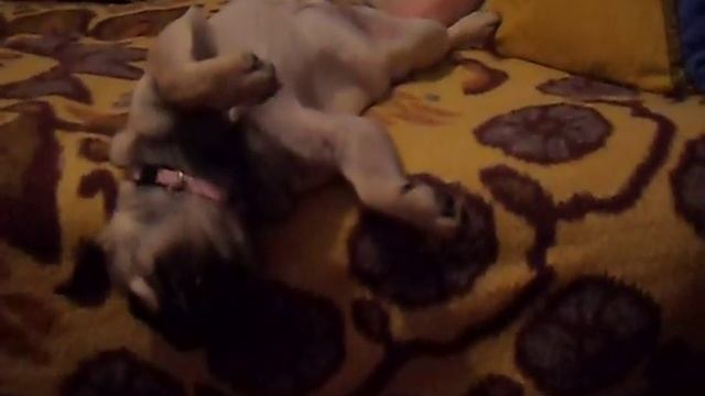 Вот как девчёнки отдыхают!!!! смотреть онлайн