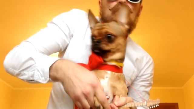 Дмитрий Зной - Красивый смотреть онлайн