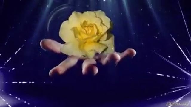 Цветы,без повода... смотреть онлайн