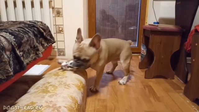 Жорик, давай поедим. - Нет, лучше поиграем! смотреть онлайн