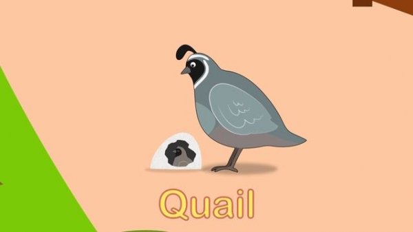 Feeding Times At Number Zoo - Learn ABCs | Toddler Fun Learning | Animals For Kids | Cartoon Animal