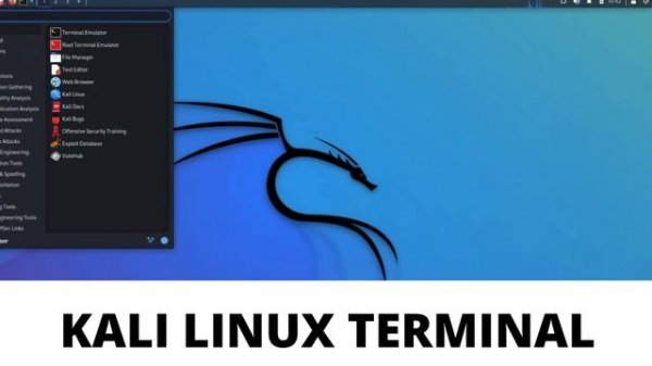 Run Kali Linux Directly In Your Web Browser