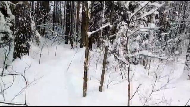 Походы Экскурса. Недошедшие до Юшута смотреть онлайн