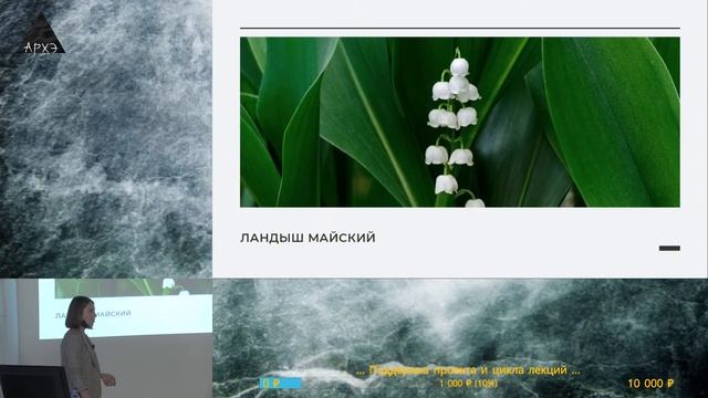 Лекция "Ядовитые растения России" курса "Ботанические заметки: полезные и опасные" смотреть онлайн