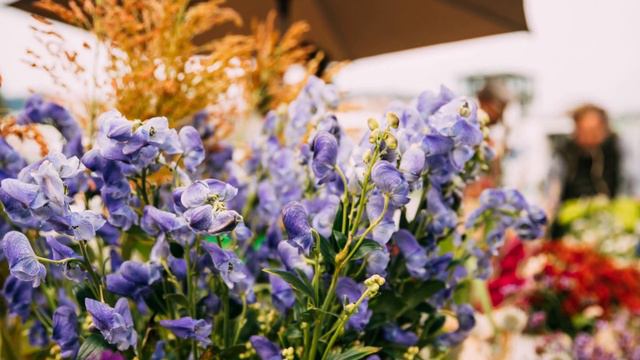 Евангелие дня 25 октября 2022 с толкованием. Апостол дня. Жития Святых. смотреть онлайн