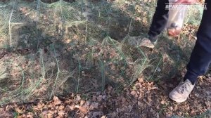 Охота на РАКА в апреле. СЕКРЕТЫ ловли рака на раколовки. Как поймать рака весной?