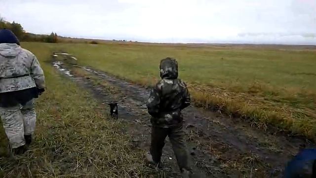 Собираем грибы. 23. 09. 2020 смотреть онлайн